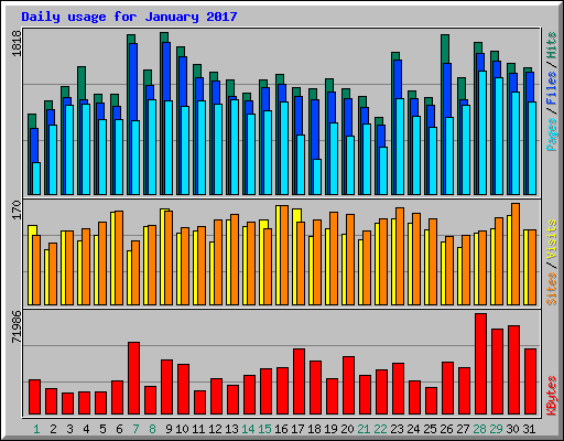 Daily usage for January 2017