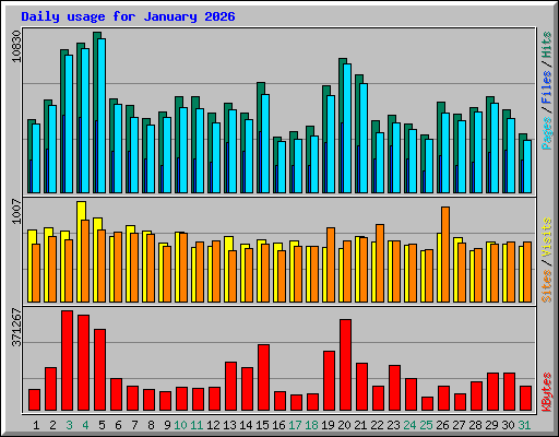 Daily usage for January 2026