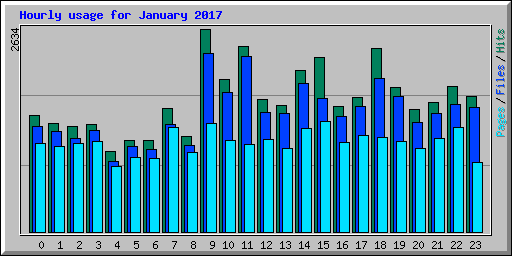 Hourly usage for January 2017