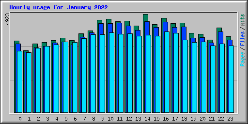 Hourly usage for January 2022