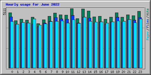 Hourly usage for June 2022