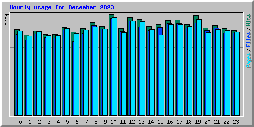 Hourly usage for December 2023