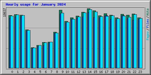 Hourly usage for January 2024