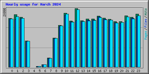 Hourly usage for March 2024