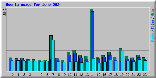 Hourly usage for June 2024