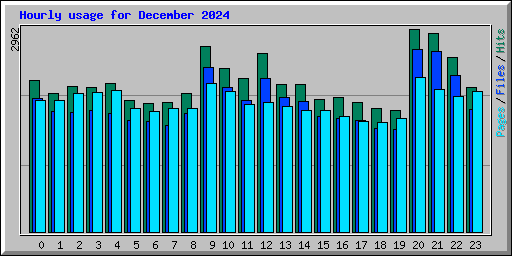 Hourly usage for December 2024