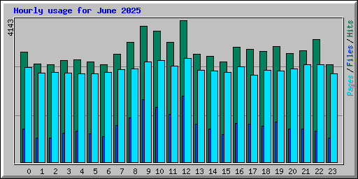 Hourly usage for June 2025