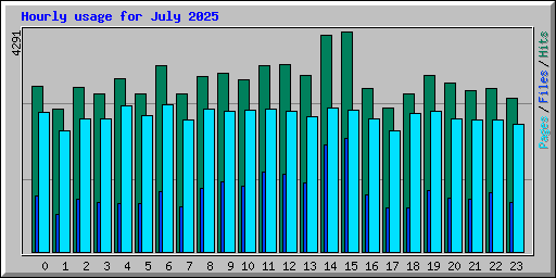 Hourly usage for July 2025