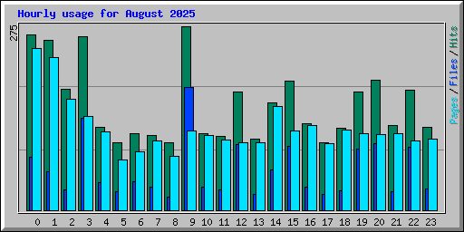 Hourly usage for August 2025