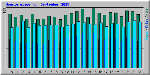 Hourly usage for September 2025