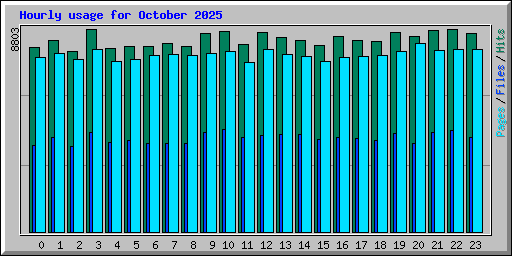 Hourly usage for October 2025