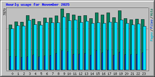Hourly usage for November 2025