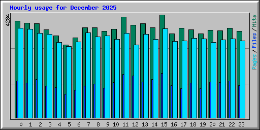 Hourly usage for December 2025