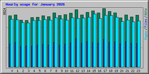 Hourly usage for January 2026