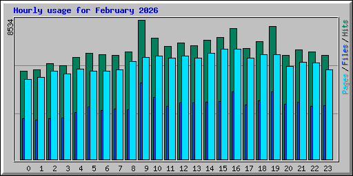 Hourly usage for February 2026